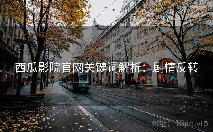西瓜影院官网关键词解析：剧情反转