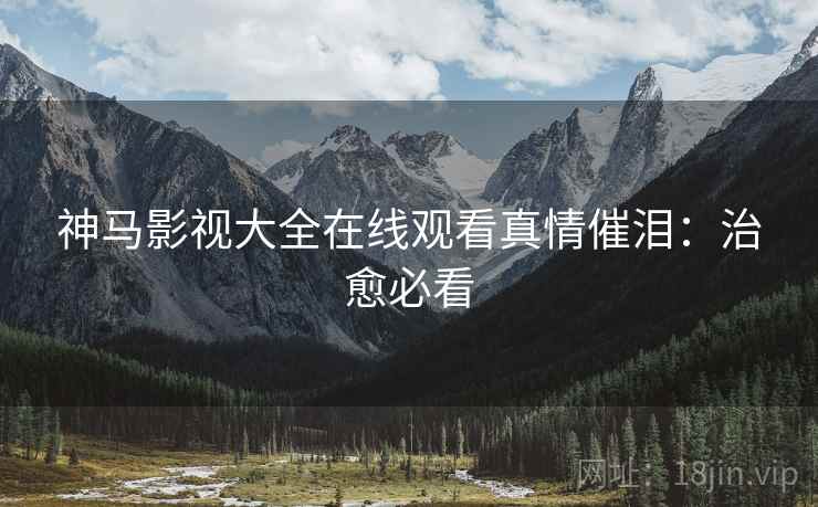 神马影视大全在线观看真情催泪：治愈必看